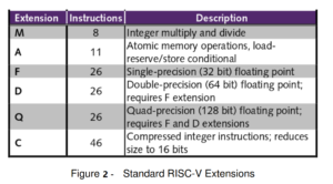 Standard Risc-V Instruction Set Extension