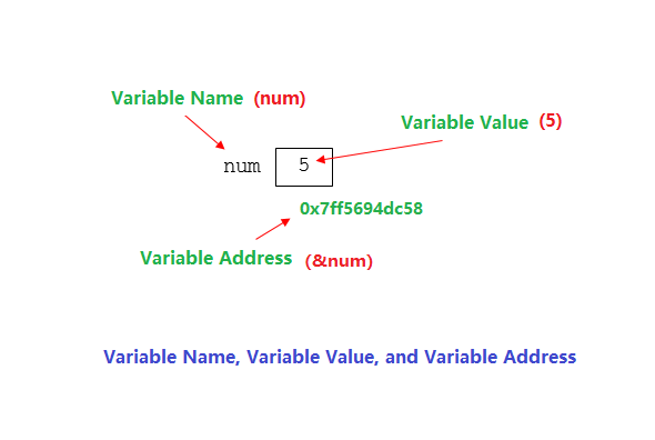 variable name and address